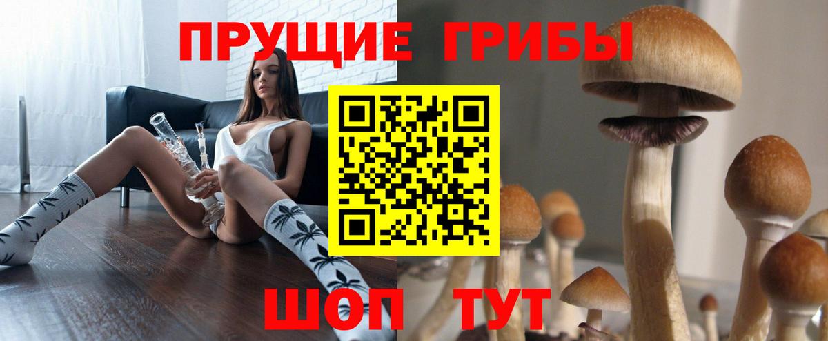 Псилоцибиновые грибы GOLDEN TEACHER  Галлюциногенные грибы ЛСД  Вход с VPN  Таганрог 